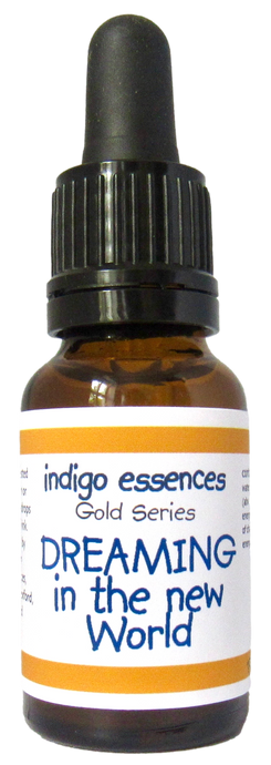 Dreaming in A New World