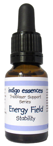 Trailblazer Support Series Energy Field Stability