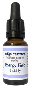 Trailblazer Support Series Energy Field Stability