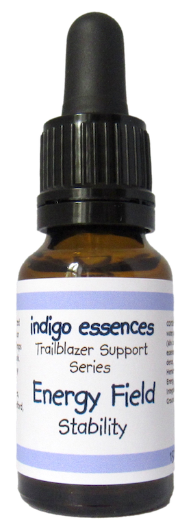 Trailblazer Support Series Energy Field Stability