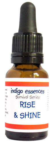 Bottle of indigo essences 'Rise & Shine' with dropper on a white background