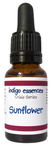 Bottle of indigo essences Sunflower essence on a white background