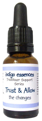 Bottle of indigo essences Trust & Allow with a black cap on a white background