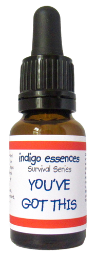 Bottle of Indigo Essences 'You've Got This' with a dropper on a white background