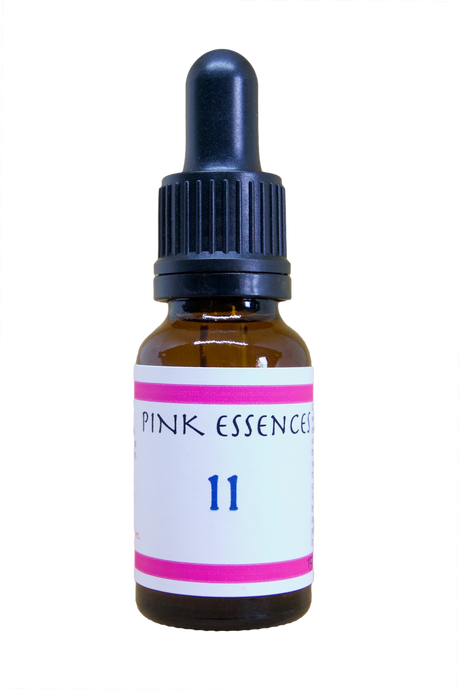 Pink 11 - Transmute inherited family patterns
